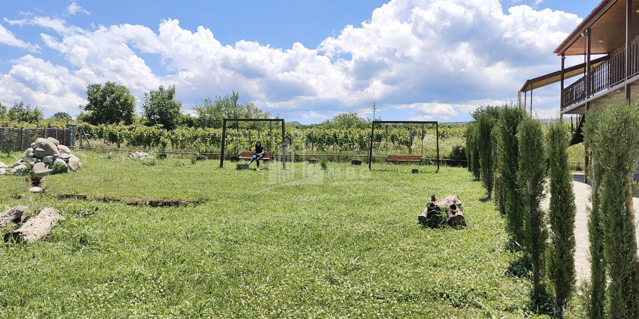 For Sale Chateau / Wine factory Commercial In Kakheti