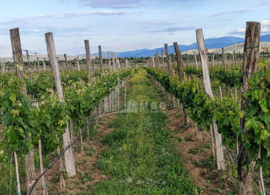 For Sale Chateau / Wine factory Commercial In Does, Kaspi