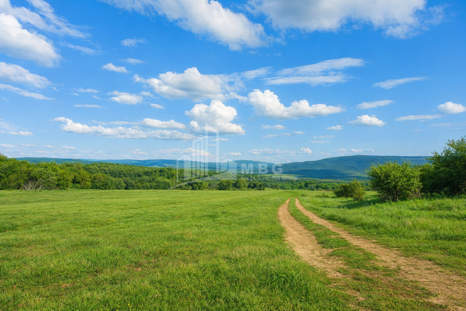 Продается Дачные Земля В Душети