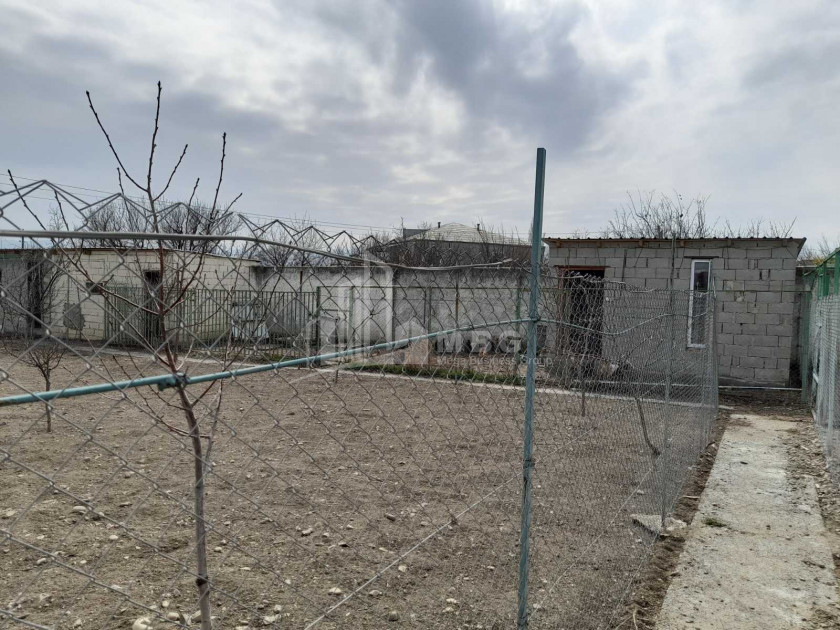 Продается Операционная ферма Коммерческий В Мухрани, Мцхета