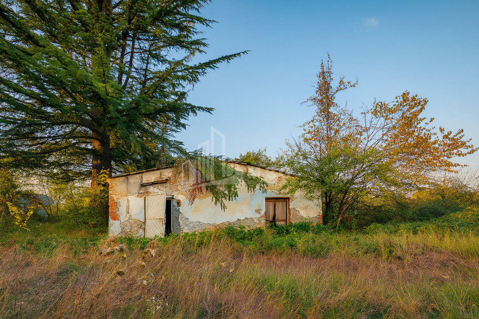 For Sale Chateau / Wine factory Commercial In Akhmeta