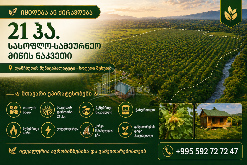 For Sale Orchards Land In Kvemo Shukhuti, Lanchkhuti