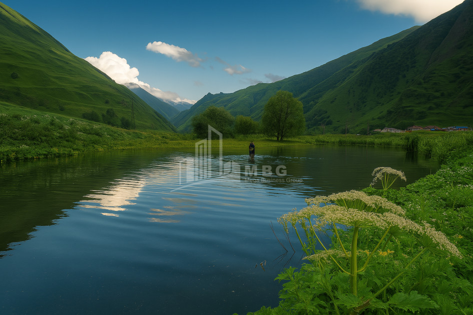 Продается Дачные Земля В Даба Казбеги, Казбеги