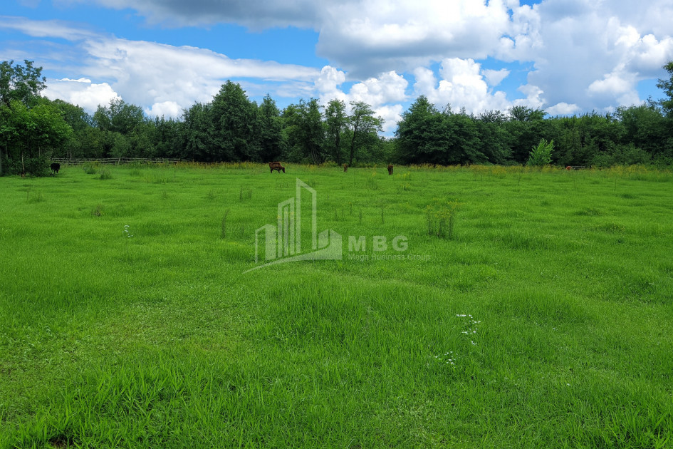 Продается Пахотные Земля В Село Чибати, Ланчхути
