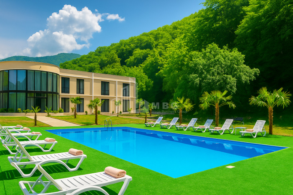 For Sale Hotel - Resort Commercial In Kvareli