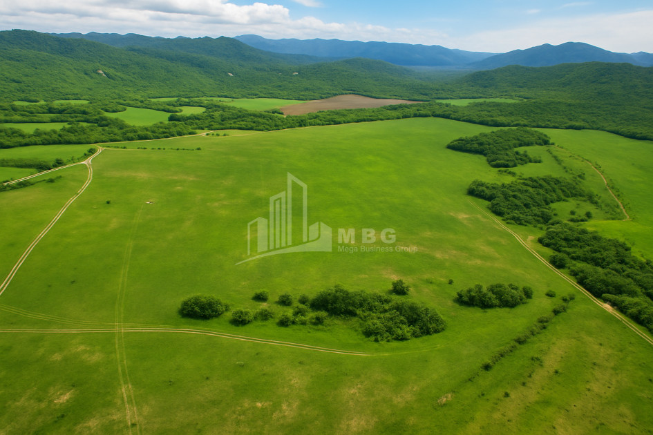Продается Пахотные Земля В Гомбори, Сагареджо