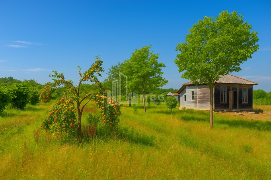 For Sale Orchards Land In Kvemo Shukhuti, Lanchkhuti