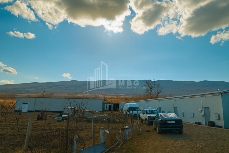 For Sale Mushroom Factory Commercial In Okami, Kaspi