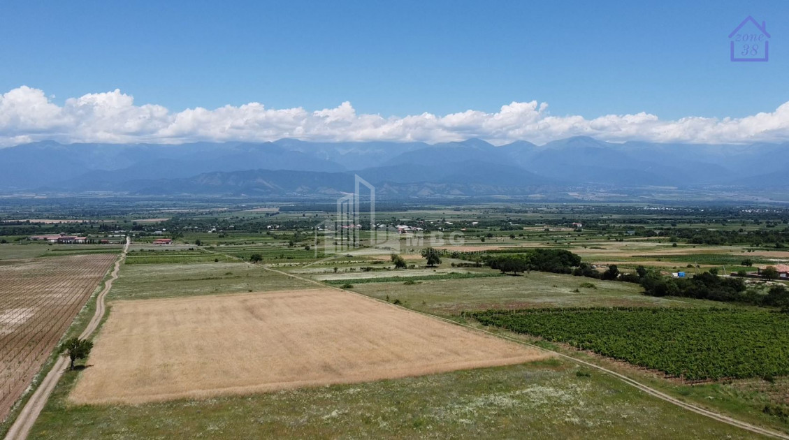 For Sale Chateau / Wine factory Commercial In Kakheti
