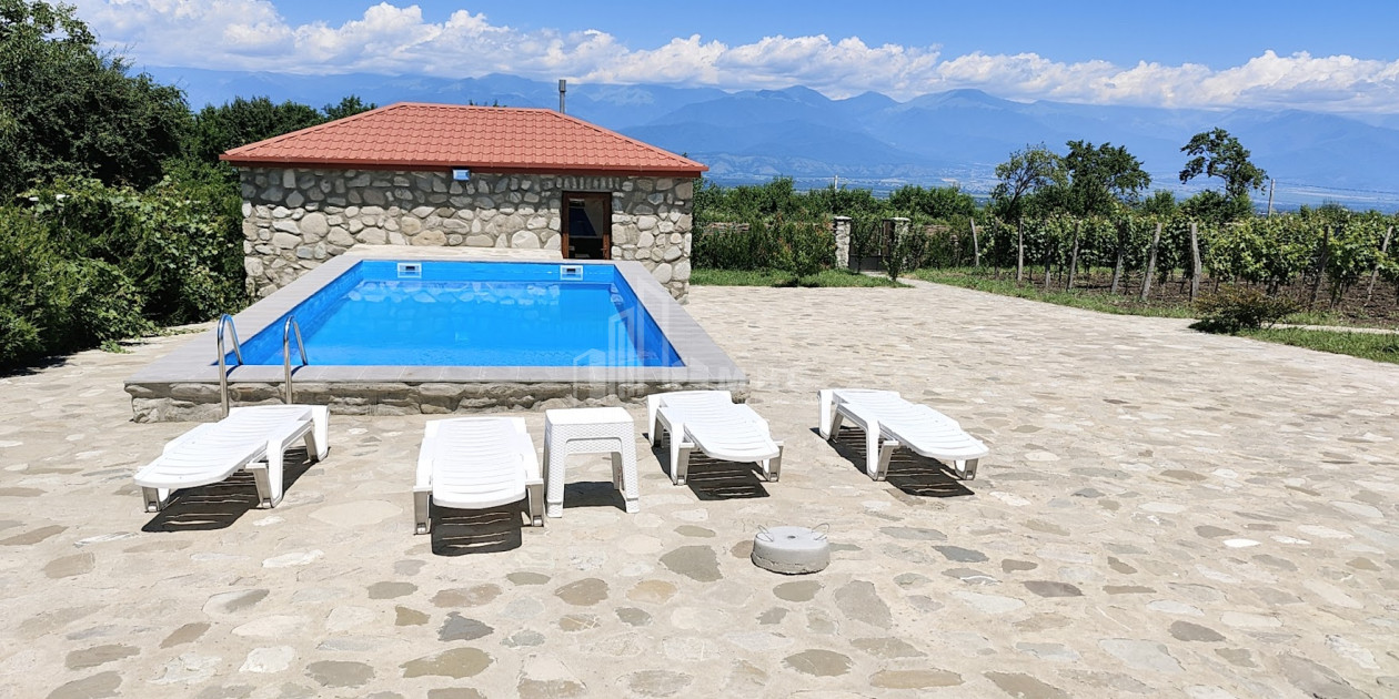For Sale Chateau / Wine factory Commercial In Kakheti