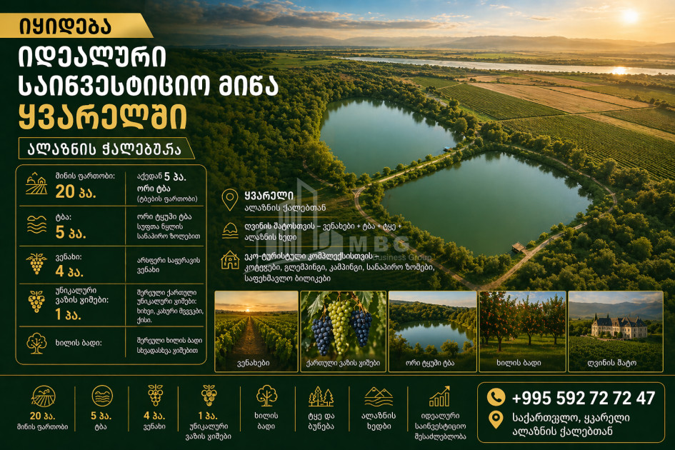 For Sale Vineyard - Chateau Land In Kvareli