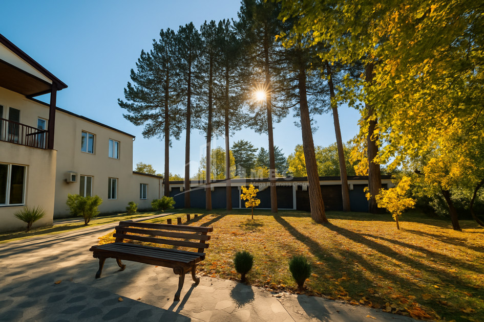 For Sale Chateau / Wine factory Commercial In Akhmeta