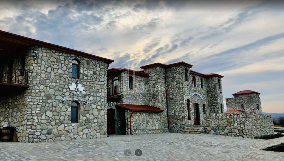 For Sale Chateau / Wine factory Commercial In Kakheti