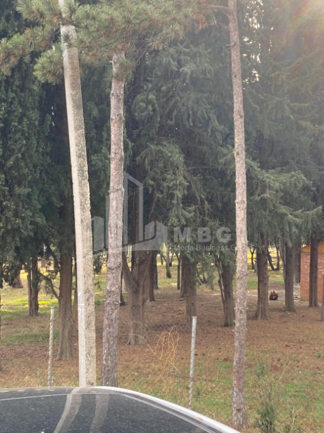 For Sale Building Commercial In Kumisi, Gardabani