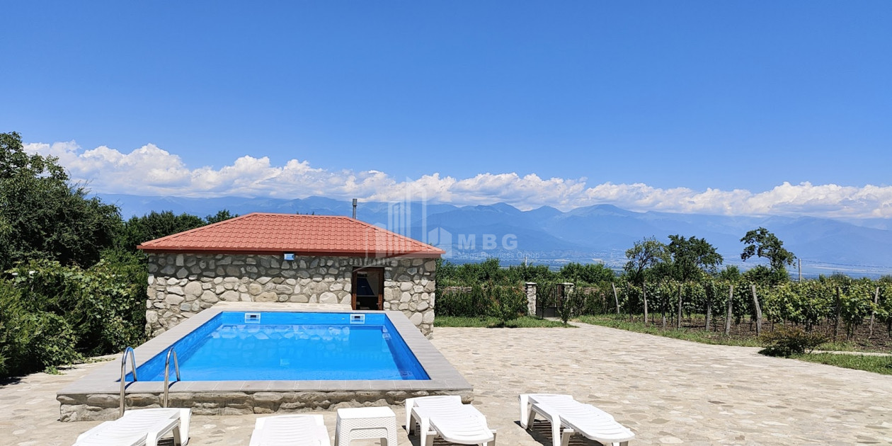 For Sale Chateau / Wine factory Commercial In Kakheti