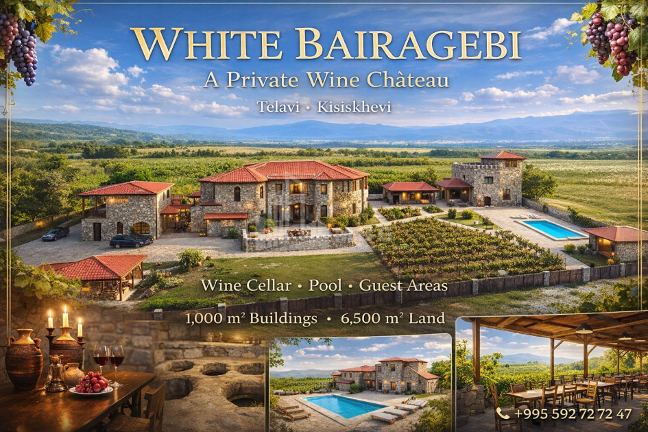 For Sale Chateau / Wine factory Commercial In Kakheti