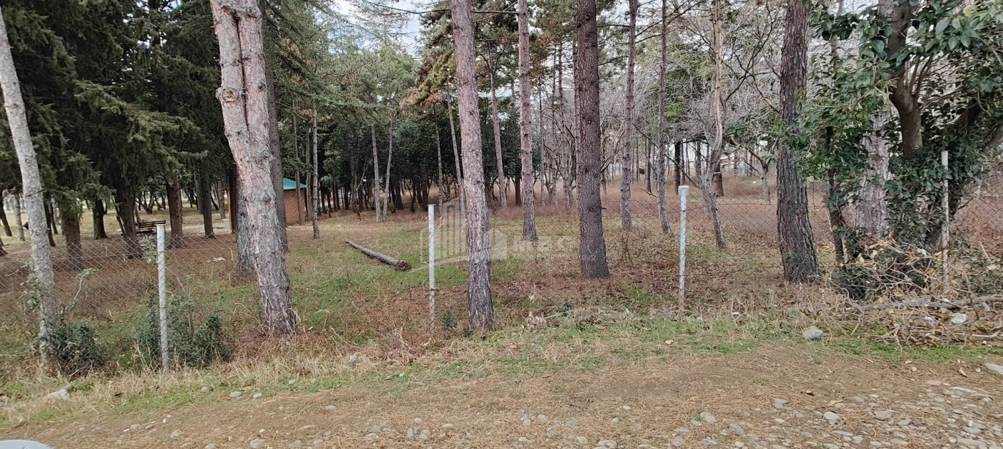 For Sale Building Commercial In Kumisi, Gardabani