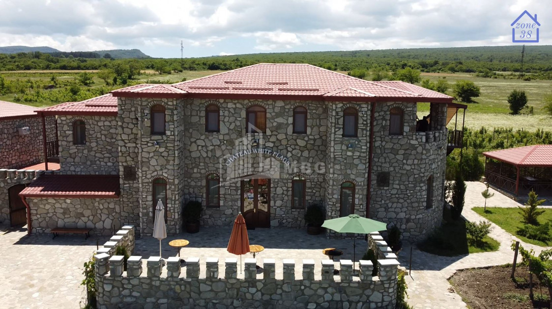 For Sale Chateau / Wine factory Commercial In Kakheti