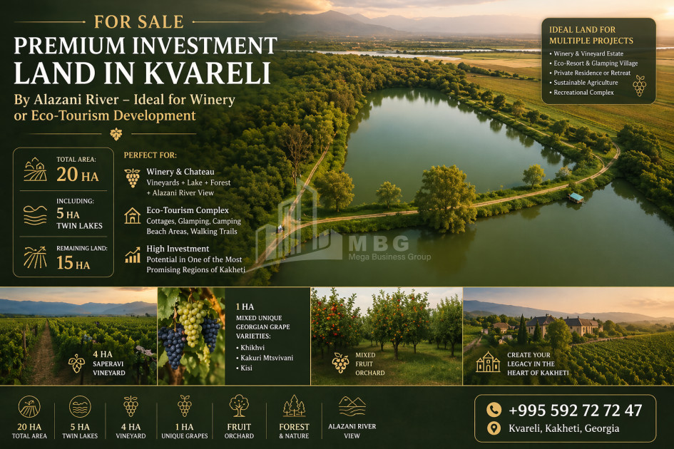 For Sale Vineyard - Chateau Land In Kvareli