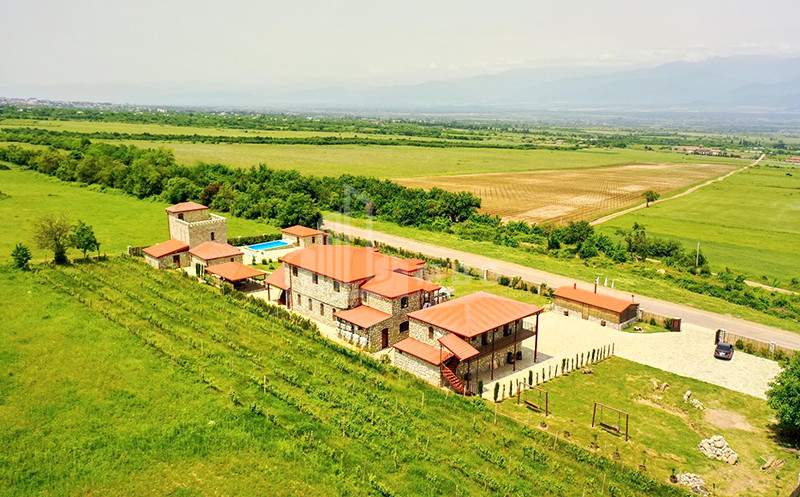For Sale Chateau / Wine factory Commercial In Kakheti