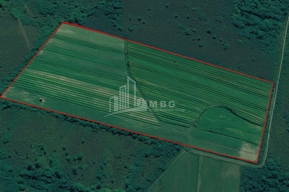 For Sale Orchards Land In Kvemo Shukhuti, Lanchkhuti