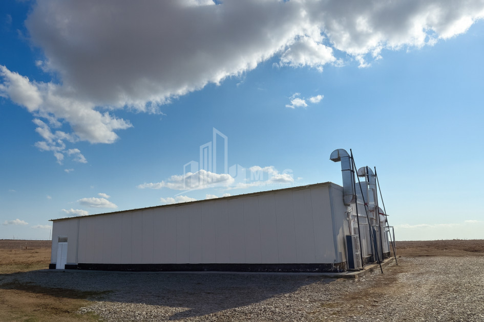 For Sale Mushroom Factory Commercial In Okami, Kaspi