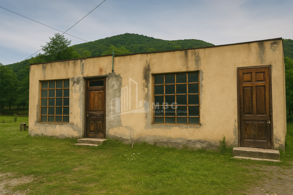 Продается Здание Коммерческий В Амбролаури