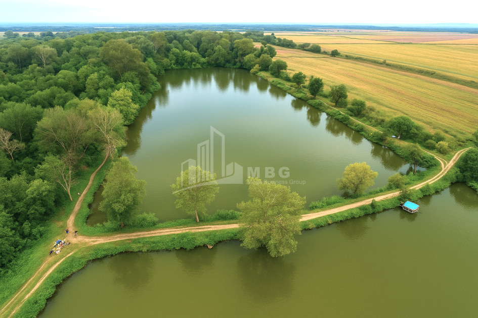 For Sale Vineyard - Chateau Land In Kvareli
