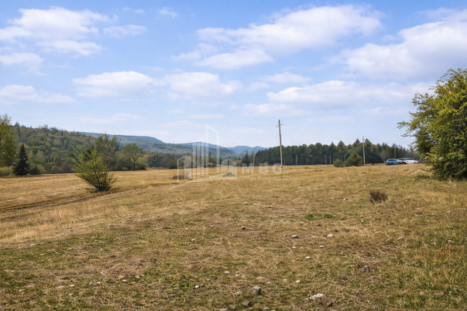 For Sale Old building House - Villa In Shalauri, Telavi