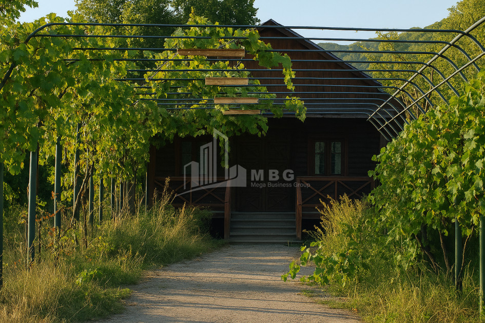 Продается Старое здание Дом - Вилла В Село Чопорте, Душети