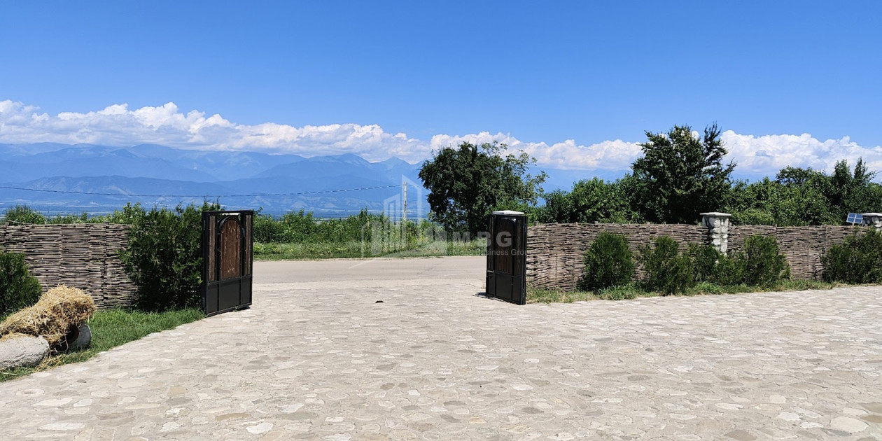 For Sale Chateau / Wine factory Commercial In Kakheti