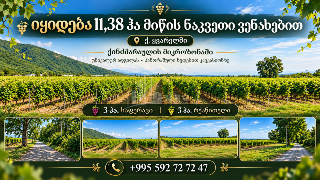 Продается Виноградник - Замковые Земля В Кварели