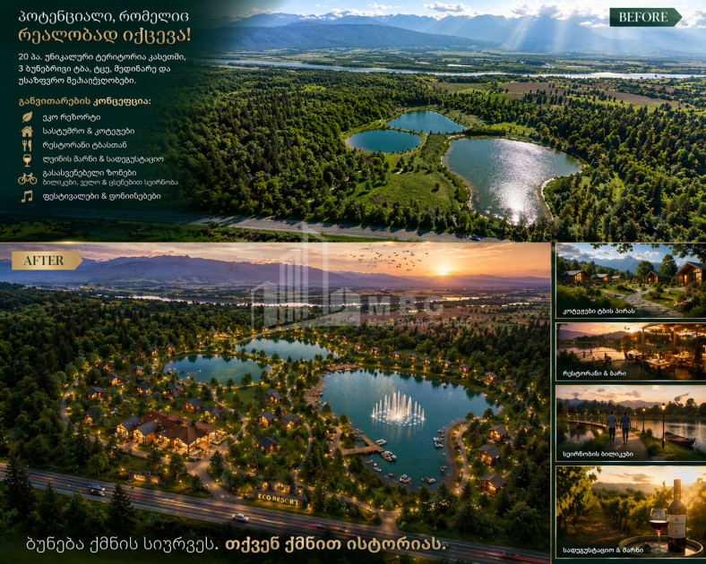For Sale Commercial - universal Land In Kakheti