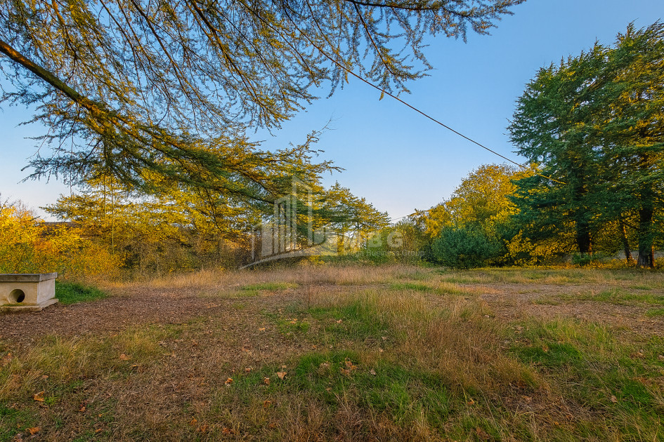 For Sale Chateau / Wine factory Commercial In Akhmeta