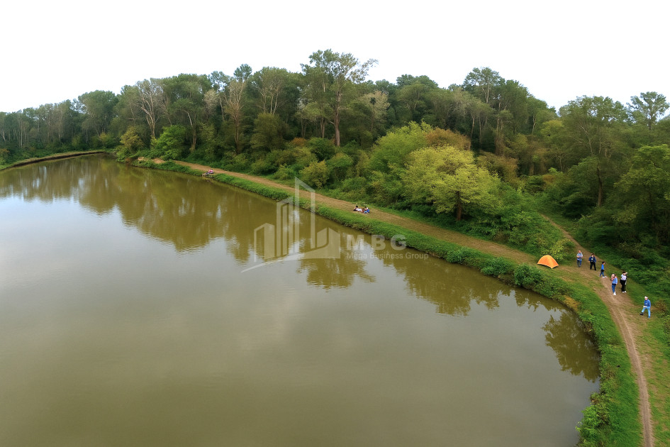 For Sale Vineyard - Chateau Land In Kvareli