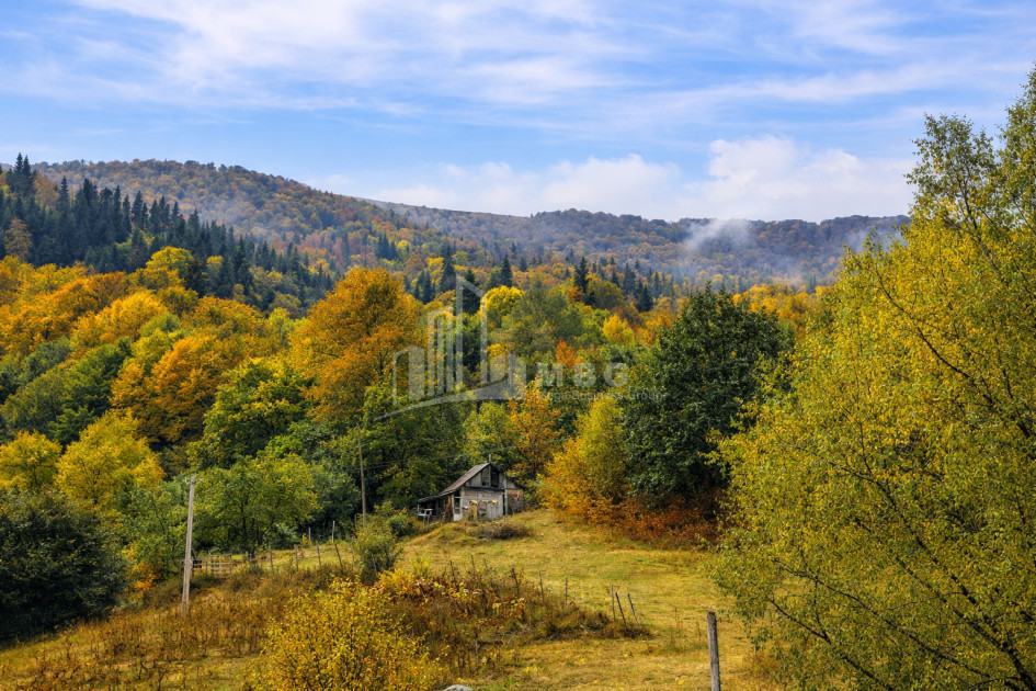 For Sale Country Land In Zemo Gostibe, Kaspi