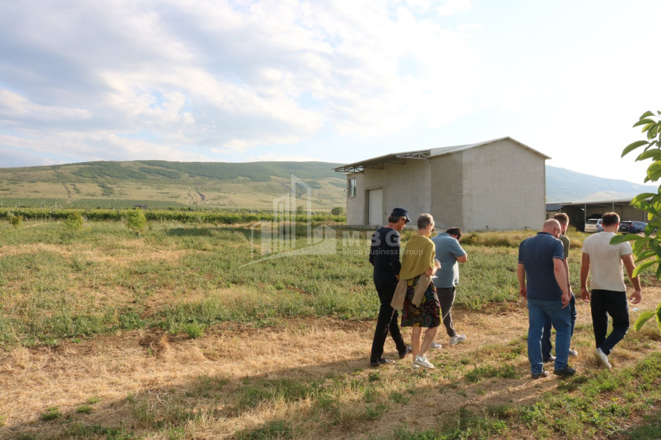 For Sale Chateau / Wine factory Commercial In Does, Kaspi