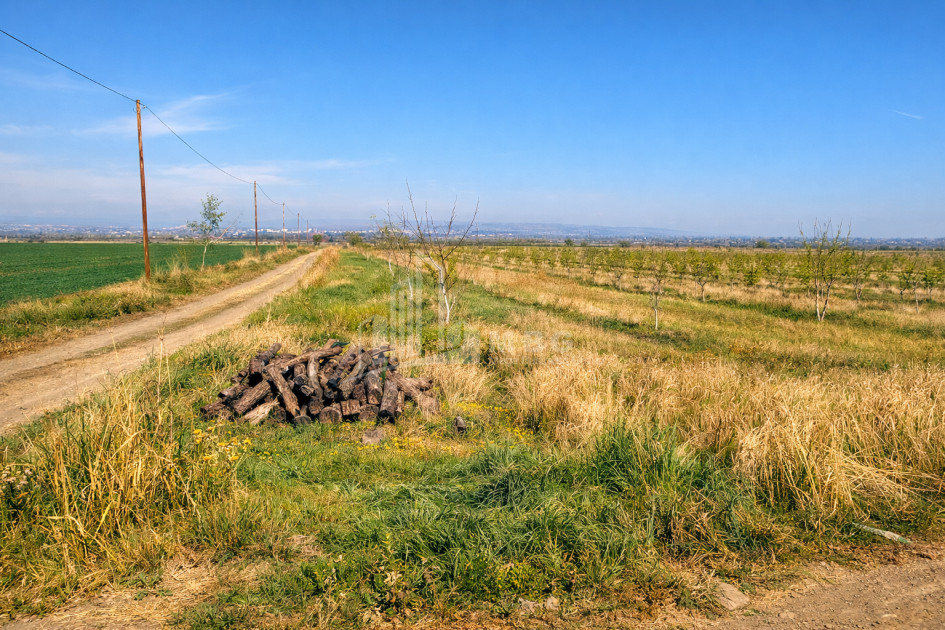 For Sale Orchards Land In the Village Shaumiani, Marneuli