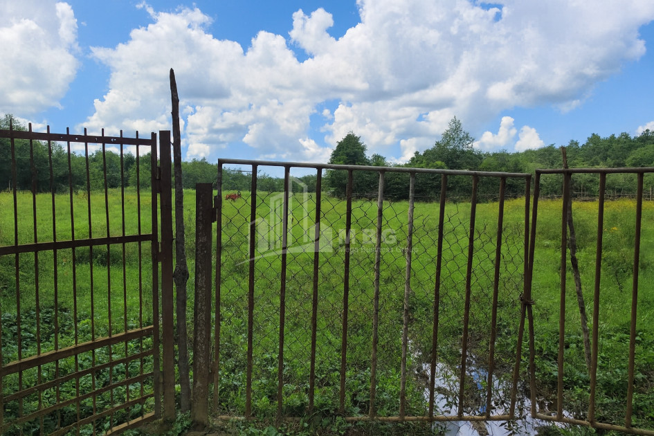 Продается Пахотные Земля В Село Чибати, Ланчхути