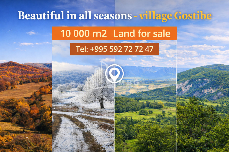 For Sale Country Land In Zemo Gostibe, Kaspi