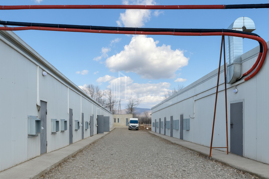 For Sale Mushroom Factory Commercial In Okami, Kaspi