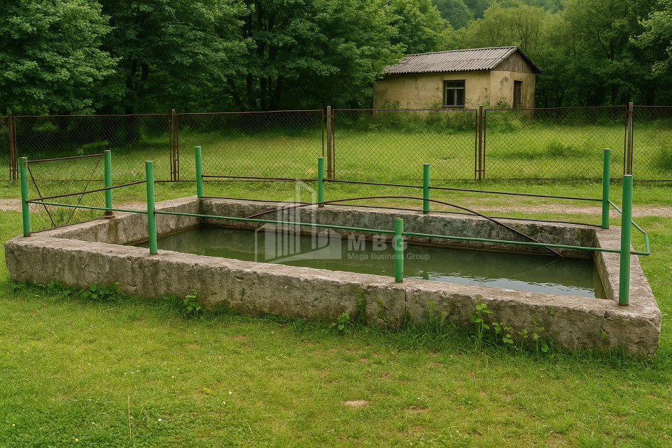 Продается Здание Коммерческий В Амбролаури