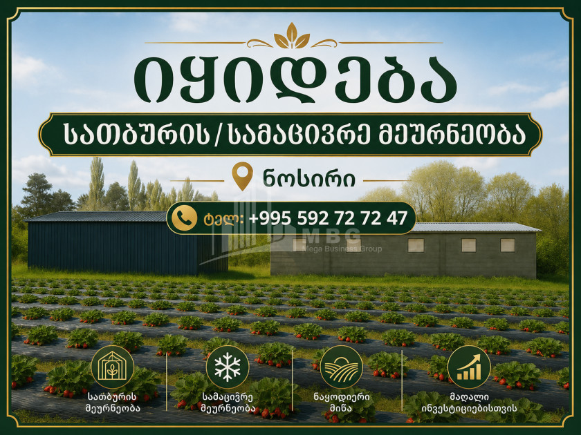 Продается Ферма теплицы Земля В Носири, Сенакски