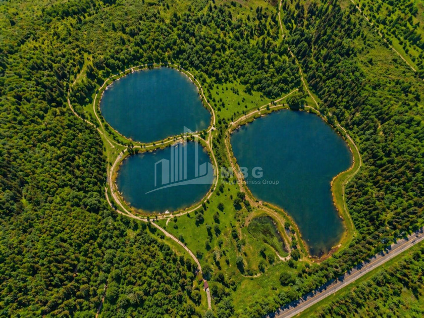 For Sale Commercial - universal Land In Kakheti
