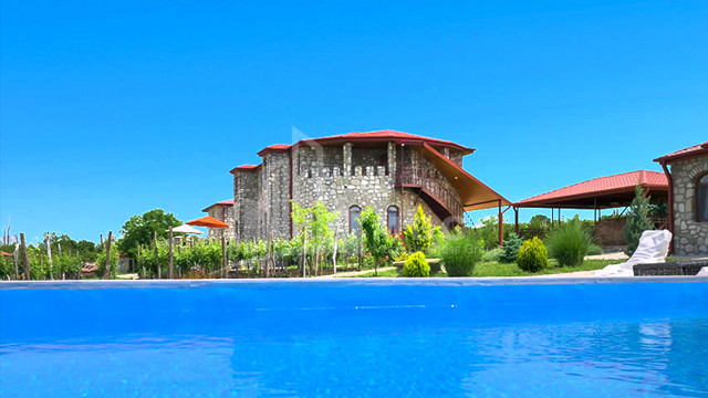 For Sale Chateau / Wine factory Commercial In Kakheti