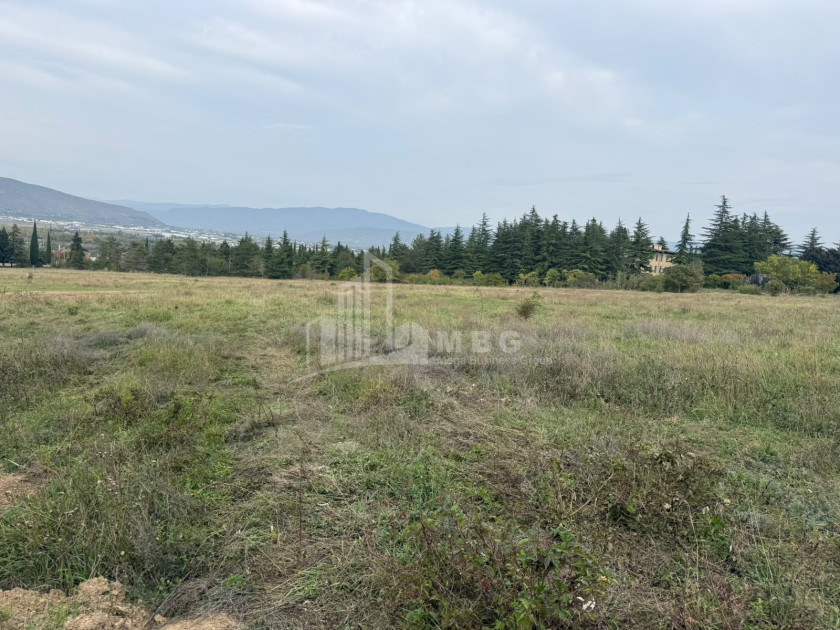 For Rent Warehousing - entrepreneurial Land In Tserovani, Mtskheta