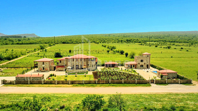For Sale Chateau / Wine factory Commercial In Kakheti