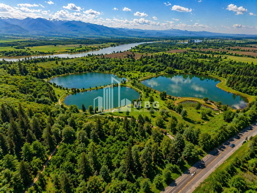 For Sale Commercial - universal Land In Kakheti