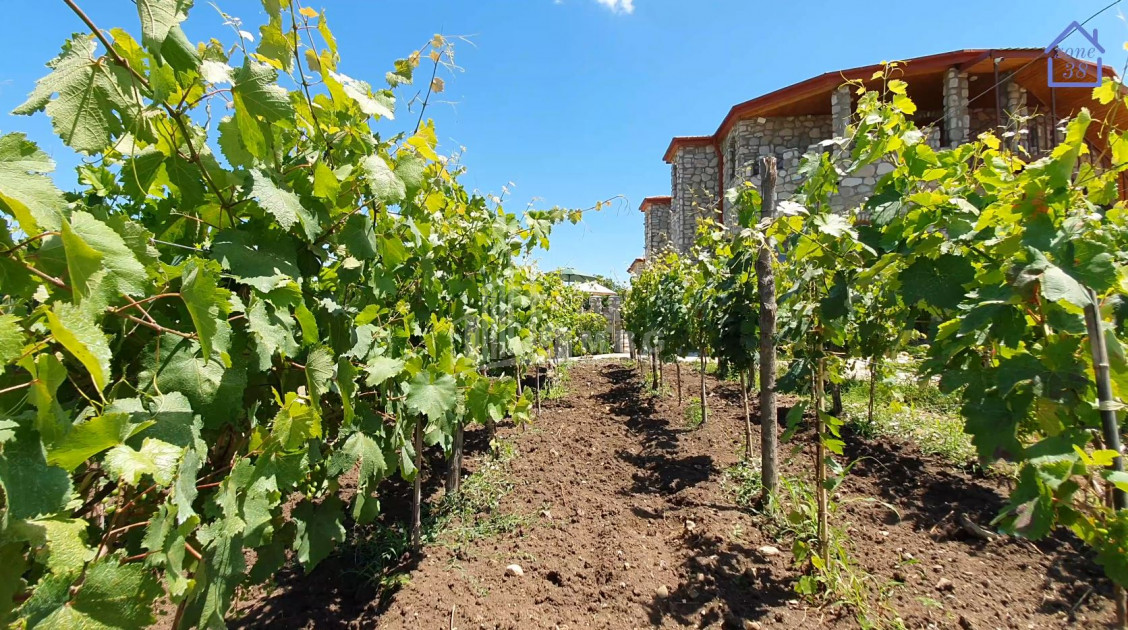 For Sale Chateau / Wine factory Commercial In Kakheti