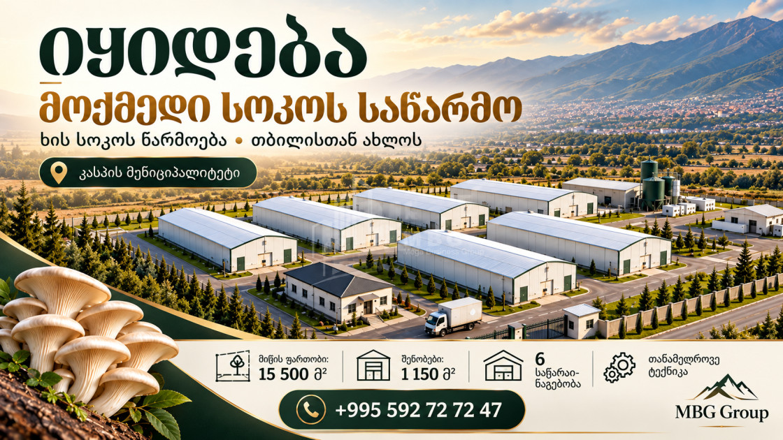 For Sale Mushroom Factory Commercial In Okami, Kaspi